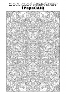 mandala-retangular-023