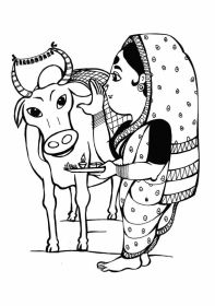 indiana-vaca-001