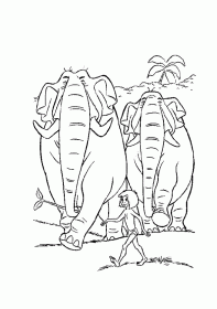 mogli-elefantes