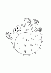 peixe-esponja