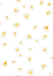 papeis-digitais-dia-das-maes-1papacaio-2025-13