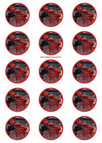 etiqueta-redonda-5cm-aranha-02