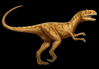 allosaurus-22-001