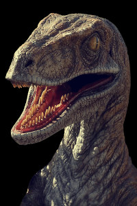 raptor-cabeca-22-001