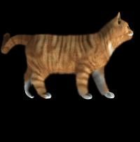 gato-listrado-png-transparentes-002