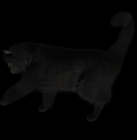 gato-preto-png-transparente-000