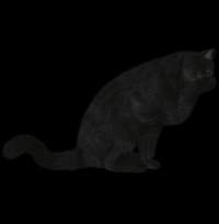 gato-preto-png-transparente-008