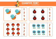 1papacaio-quantos-tem-06