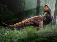 dinossauro_carnotauro_1600